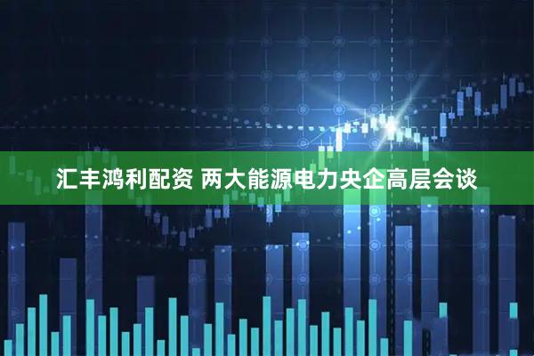 汇丰鸿利配资 两大能源电力央企高层会谈