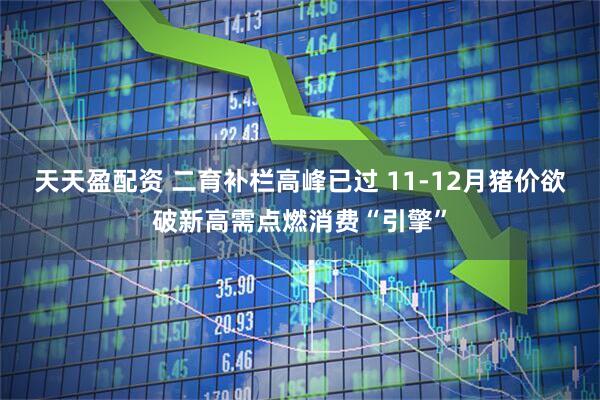 天天盈配资 二育补栏高峰已过 11-12月猪价欲破新高需点燃消费“引擎”