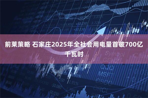 前莱策略 石家庄2025年全社会用电量首破700亿千瓦时